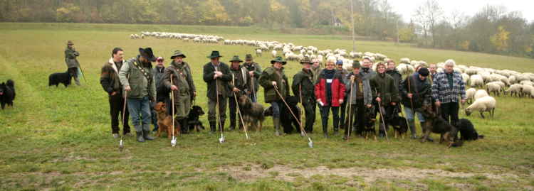 Stimmungsbild mit Schäfergruppe vor Herde