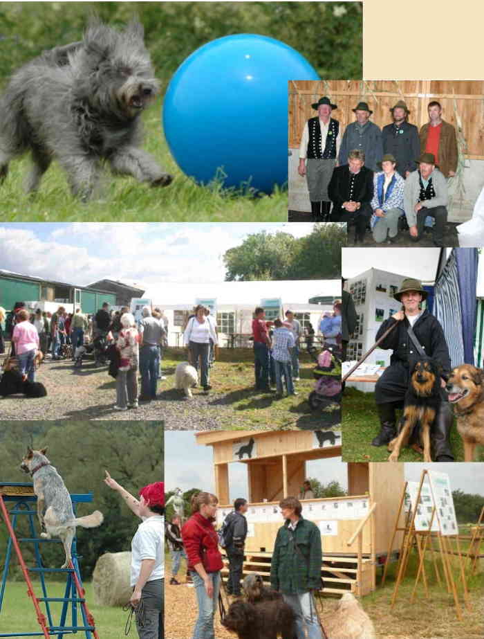 Einfache Collage mit Bilder vom Sommerfest 2007 und von verschiedenen Hüteveranstaltungen.