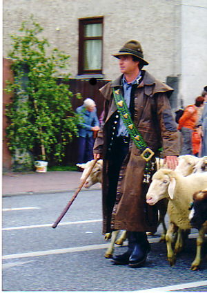 Ralf Maisezahl zieht mit den Schafen durch die Strassen Hungens.