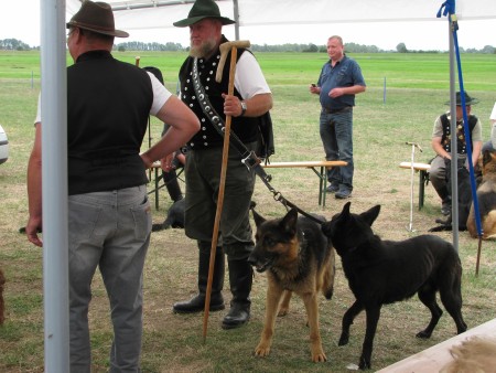 Eckhard Hissung mit seinen Deutschen Schäferhunden