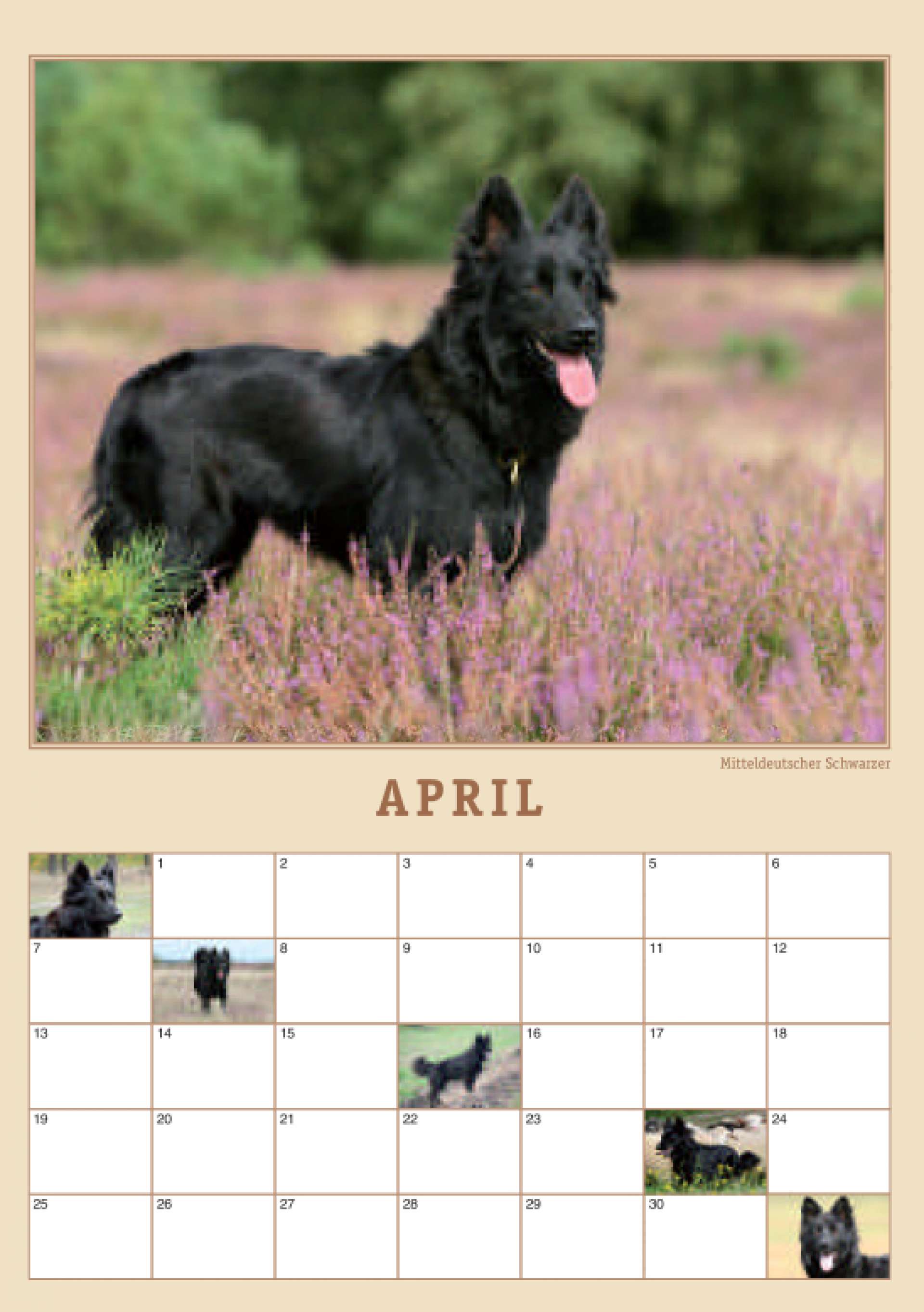 AAH-Kalender, Blatt April mit Schwarzem